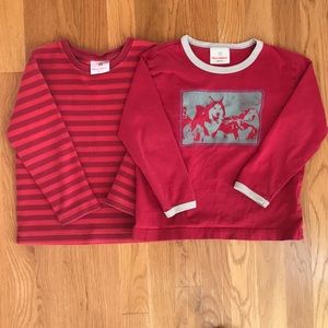 Lot of 2 Hanna Andersson Tops